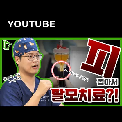 드림헤어라인 유튜브