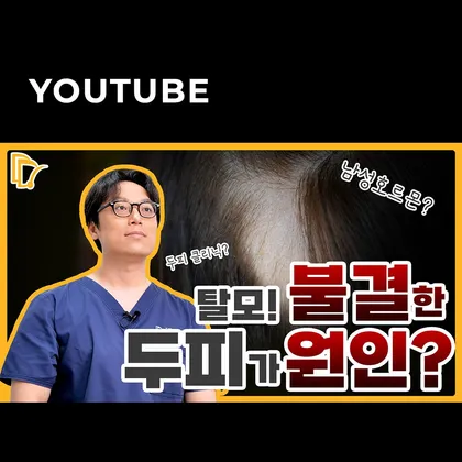드림헤어라인 유튜브